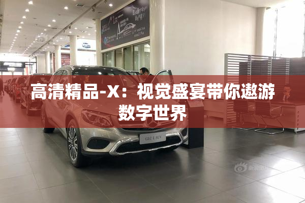 高清精品-X：视觉盛宴带你遨游数字世界