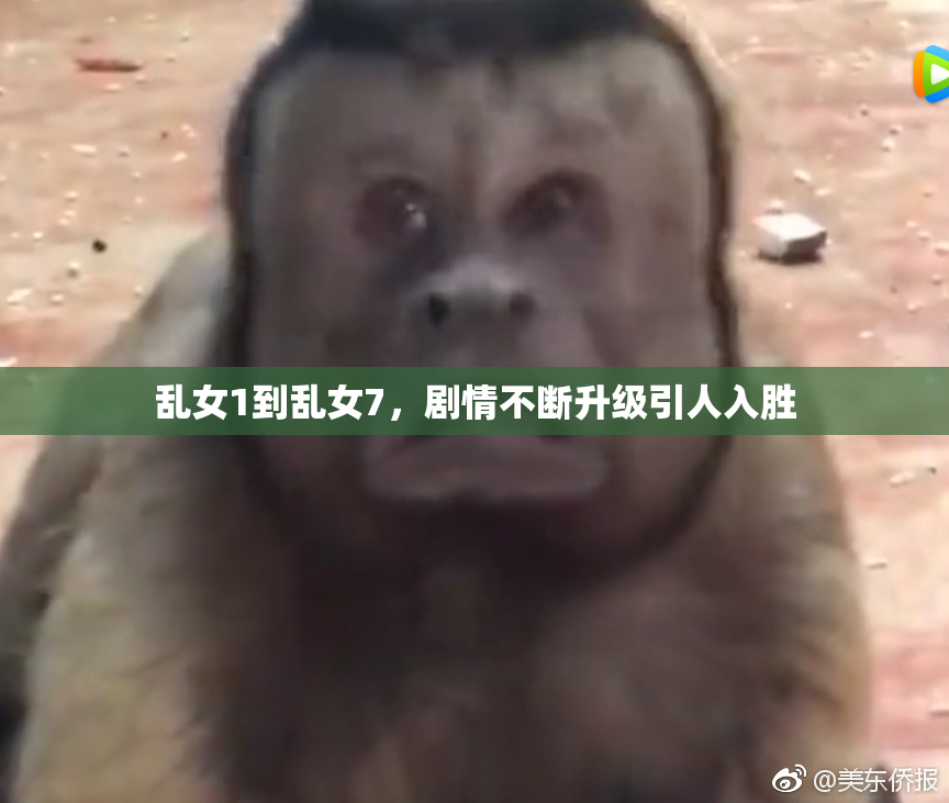 乱女1到乱女7，剧情不断升级引人入胜