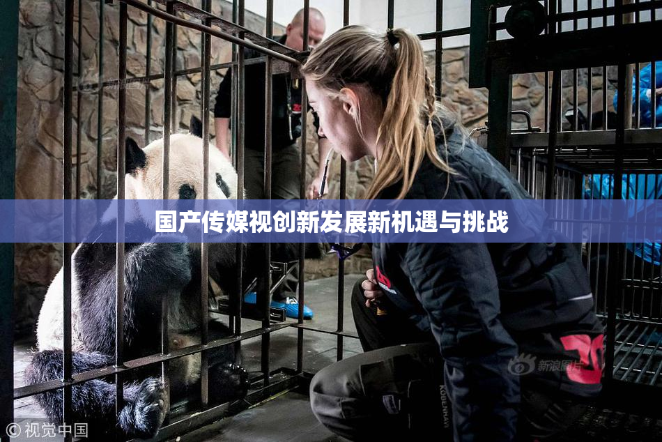 国产传媒视创新发展新机遇与挑战