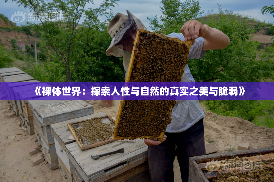 《裸体世界：探索人性与自然的真实之美与脆弱》