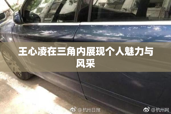 王心凌在三角内展现个人魅力与风采