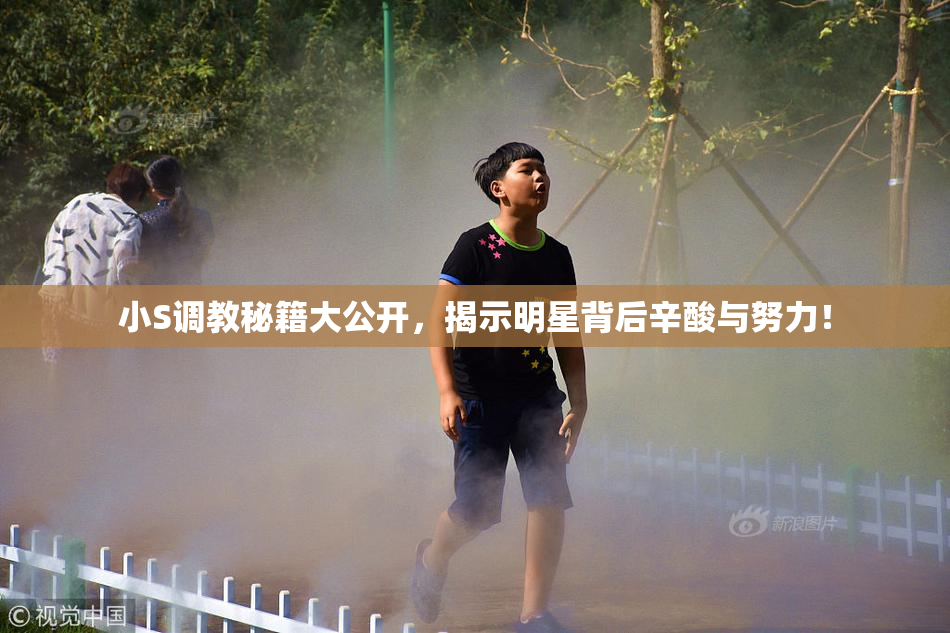 小S调教秘籍大公开，揭示明星背后辛酸与努力！