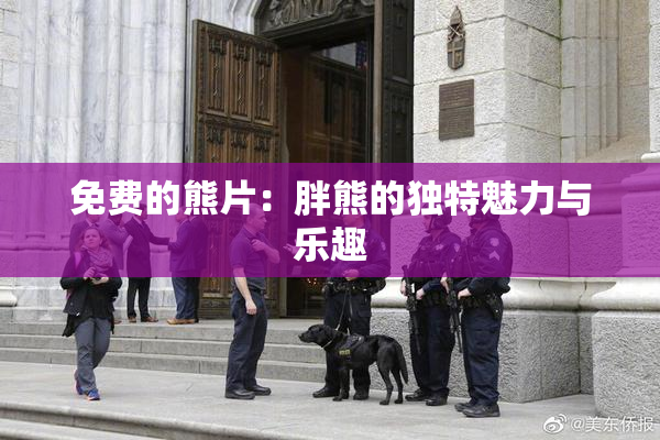 免费的熊片：胖熊的独特魅力与乐趣