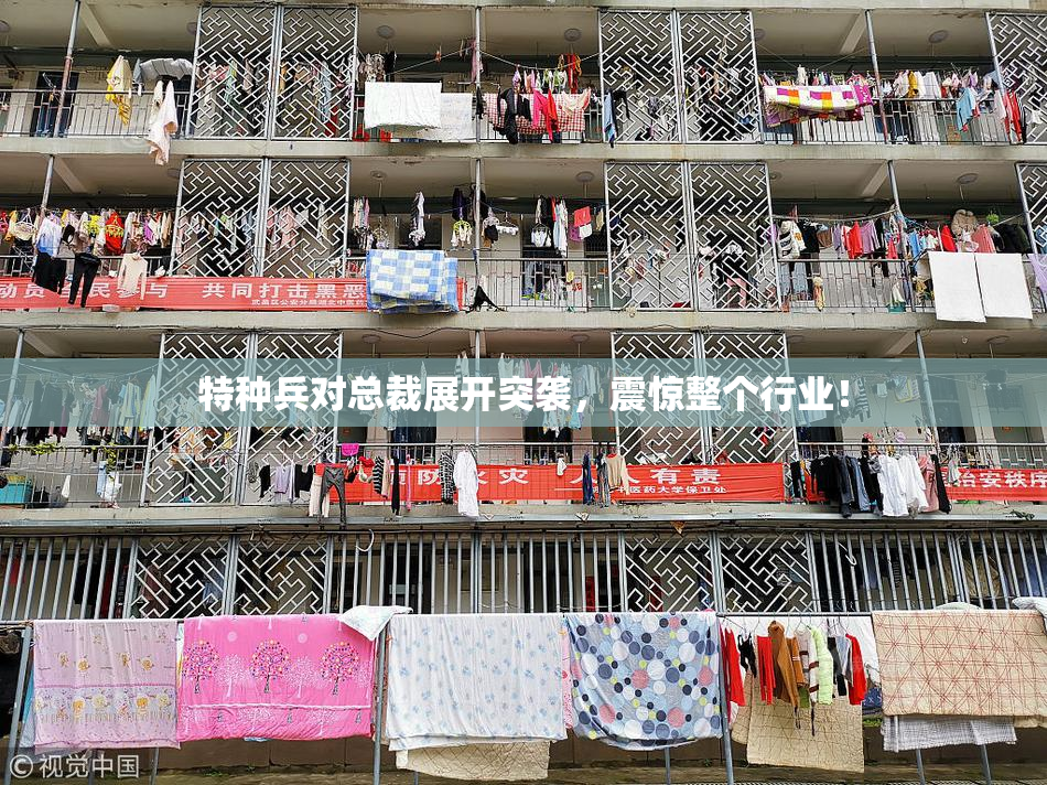 特种兵对总裁展开突袭，震惊整个行业！