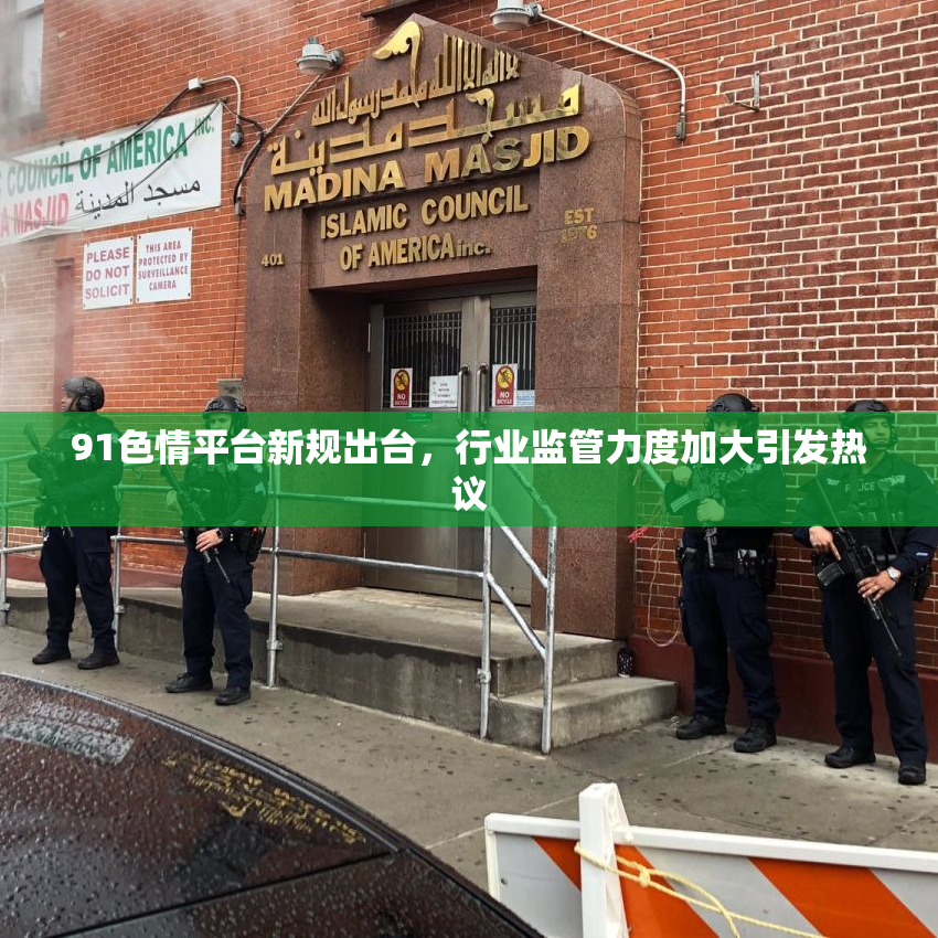 91色情平台新规出台，行业监管力度加大引发热议