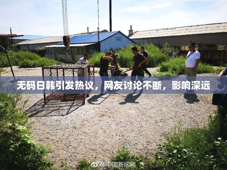 无码日韩引发热议，网友讨论不断，影响深远