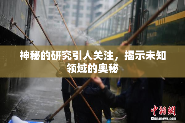 神秘的研究引人关注，揭示未知领域的奥秘