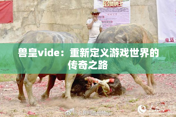 兽皇vide：重新定义游戏世界的传奇之路