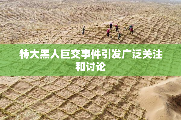 特大黑人巨交事件引发广泛关注和讨论