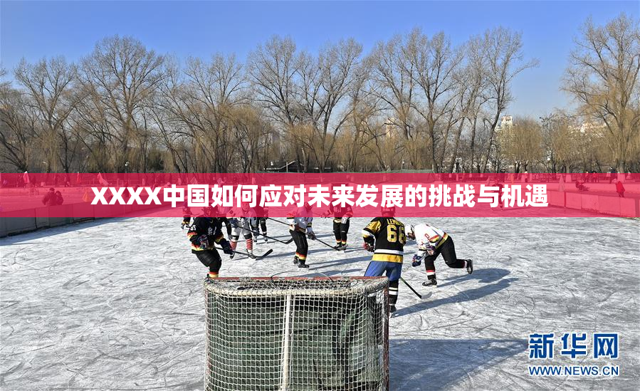 XXXX中国如何应对未来发展的挑战与机遇