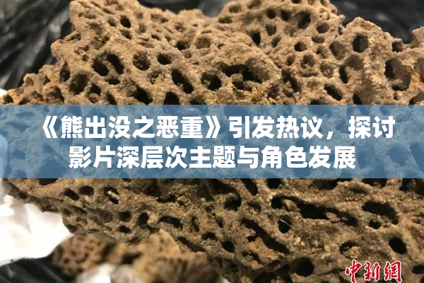《熊出没之恶重》引发热议，探讨影片深层次主题与角色发展