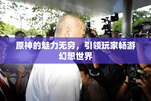 原神的魅力无穷，引领玩家畅游幻想世界