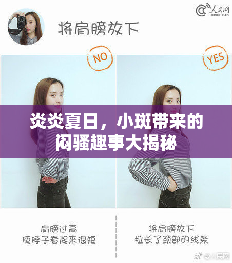 炎炎夏日，小斑带来的闷骚趣事大揭秘