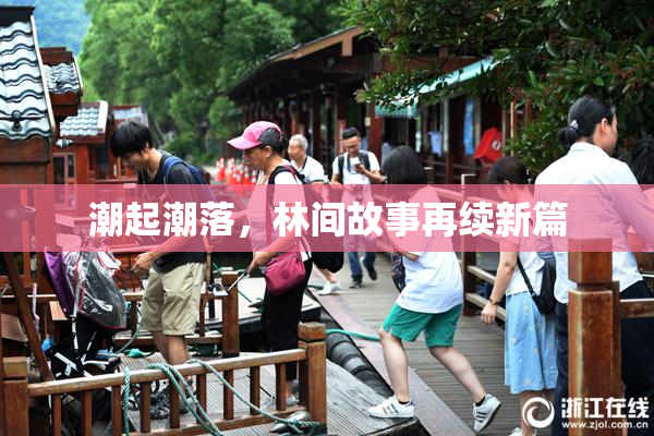 潮起潮落，林间故事再续新篇