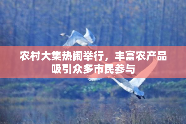 农村大集热闹举行，丰富农产品吸引众多市民参与