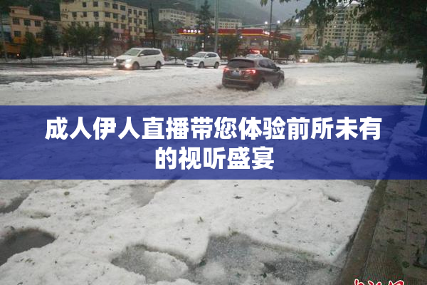 成人伊人直播带您体验前所未有的视听盛宴