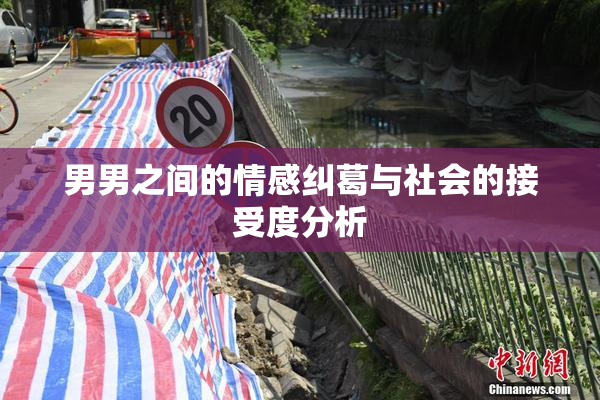 男男之间的情感纠葛与社会的接受度分析