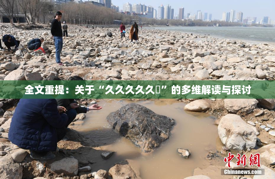 全文重提：关于“久久久久久黃”的多维解读与探讨
