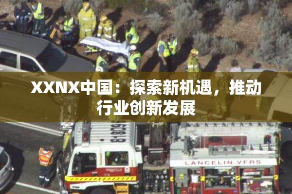 XXNX中国：探索新机遇，推动行业创新发展