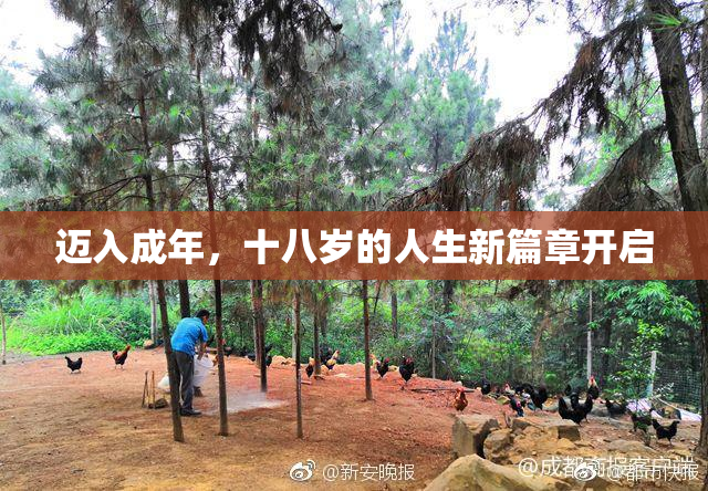 迈入成年，十八岁的人生新篇章开启