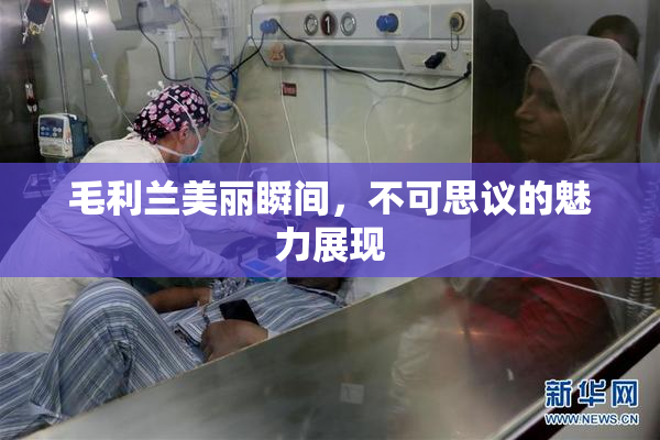 毛利兰美丽瞬间，不可思议的魅力展现