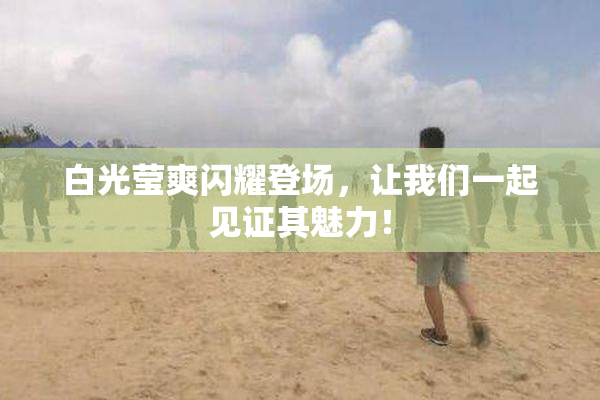 白光莹爽闪耀登场，让我们一起见证其魅力！