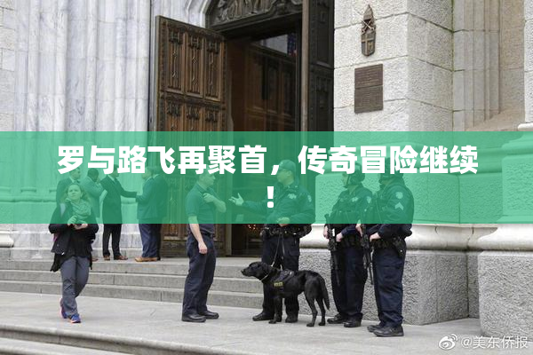 罗与路飞再聚首，传奇冒险继续！