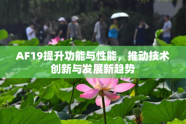 AF19提升功能与性能，推动技术创新与发展新趋势
