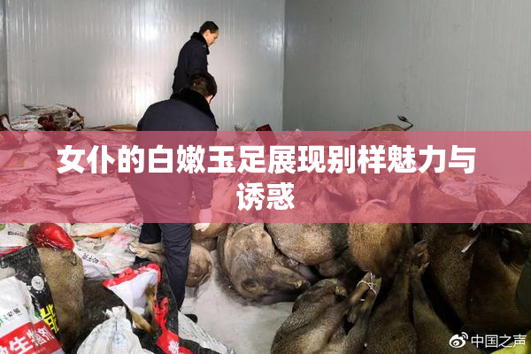 女仆的白嫩玉足展现别样魅力与诱惑