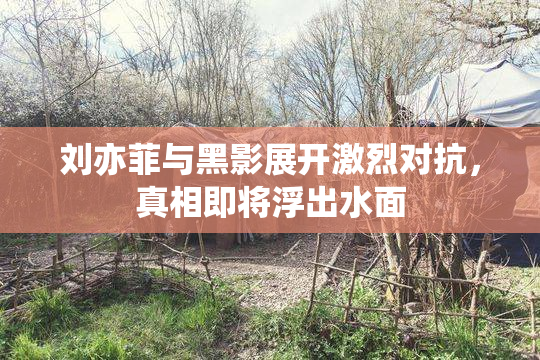 刘亦菲与黑影展开激烈对抗，真相即将浮出水面