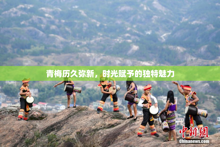 青梅历久弥新，时光赋予的独特魅力