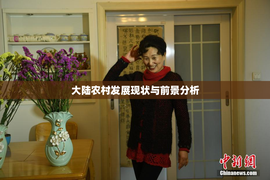 大陆农村发展现状与前景分析
