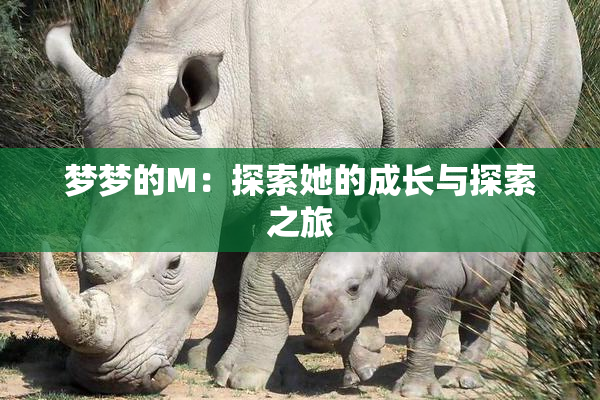 梦梦的M：探索她的成长与探索之旅