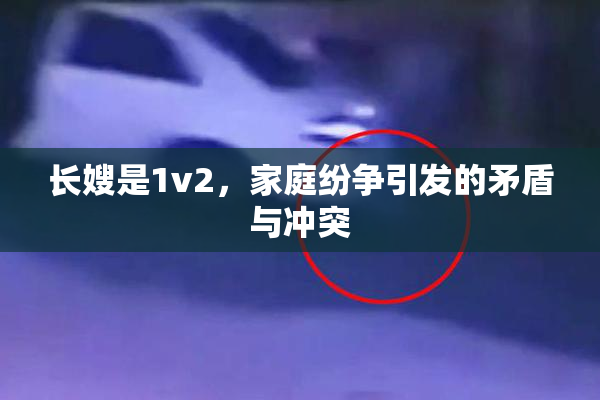长嫂是1v2，家庭纷争引发的矛盾与冲突