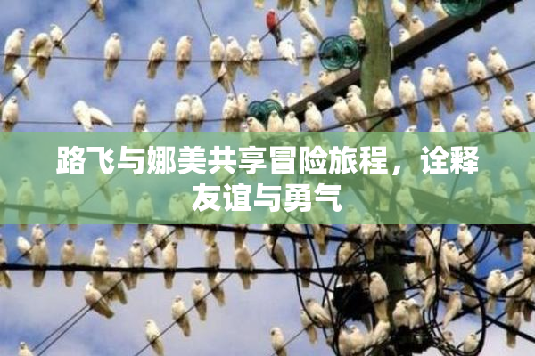 路飞与娜美共享冒险旅程，诠释友谊与勇气