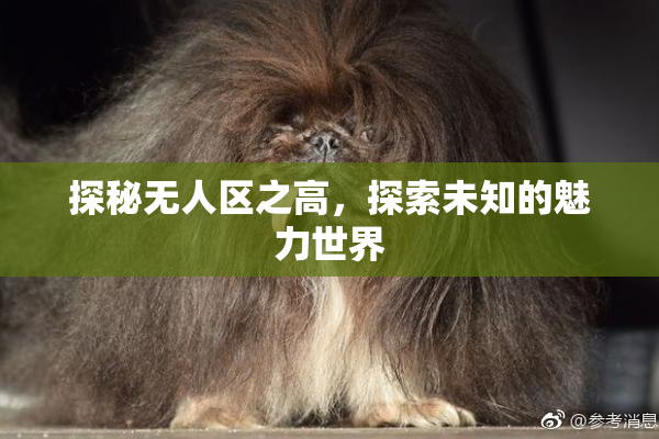 探秘无人区之高，探索未知的魅力世界