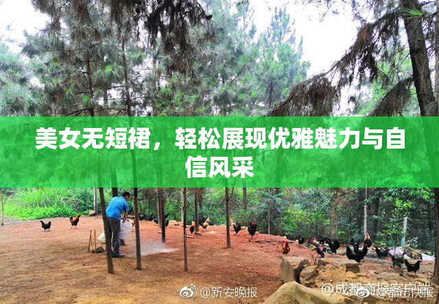 美女无短裙，轻松展现优雅魅力与自信风采