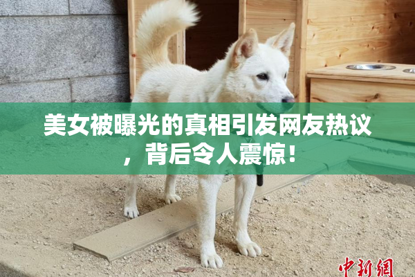 美女被曝光的真相引发网友热议，背后令人震惊！