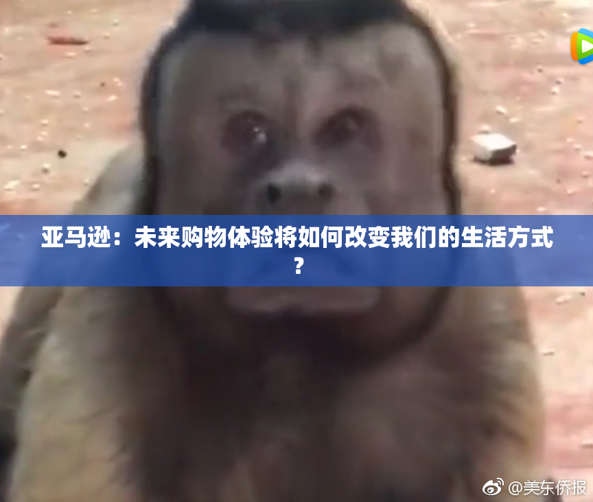 亚马逊：未来购物体验将如何改变我们的生活方式？