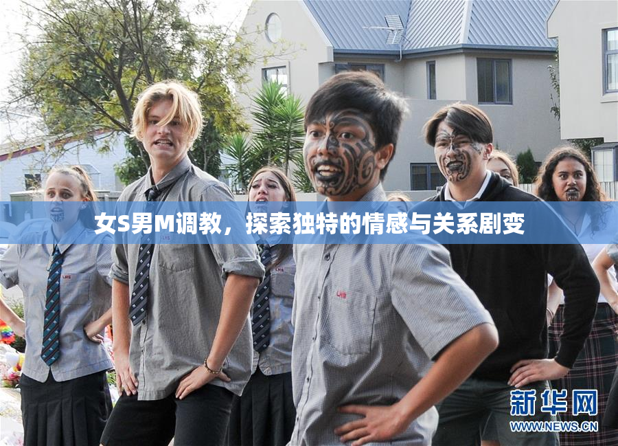女S男M调教，探索独特的情感与关系剧变