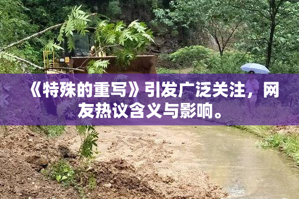 《特殊的重写》引发广泛关注，网友热议含义与影响。