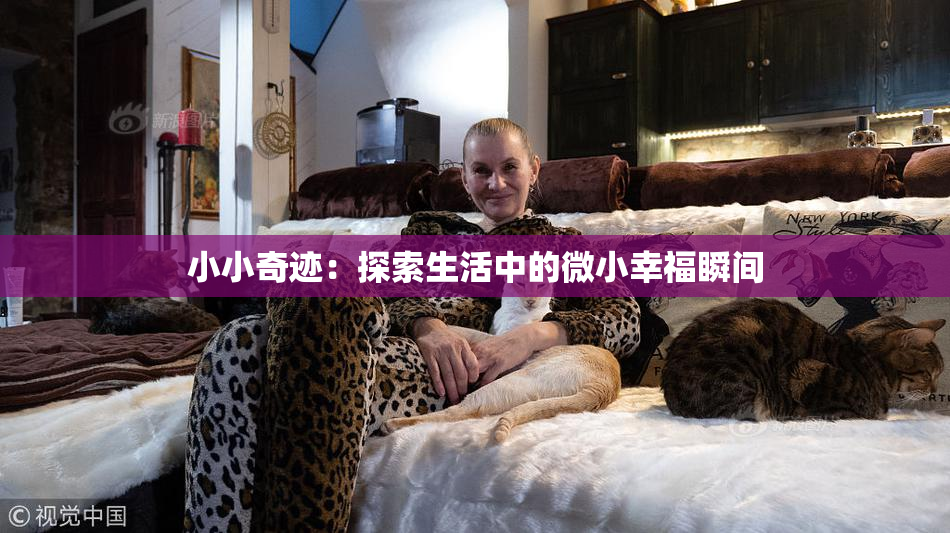 小小奇迹：探索生活中的微小幸福瞬间