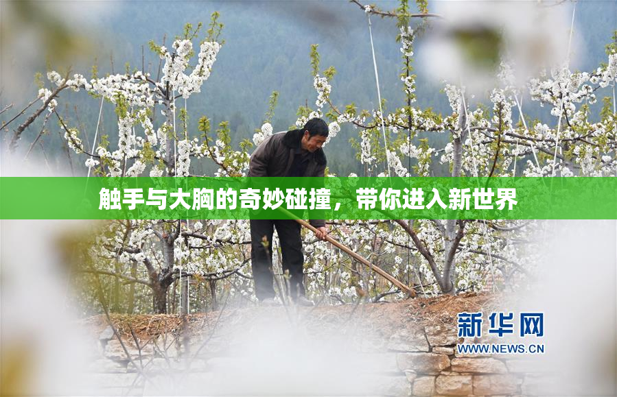 触手与大胸的奇妙碰撞，带你进入新世界