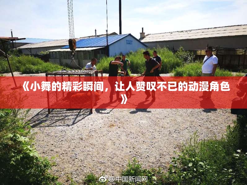 《小舞的精彩瞬间，让人赞叹不已的动漫角色》