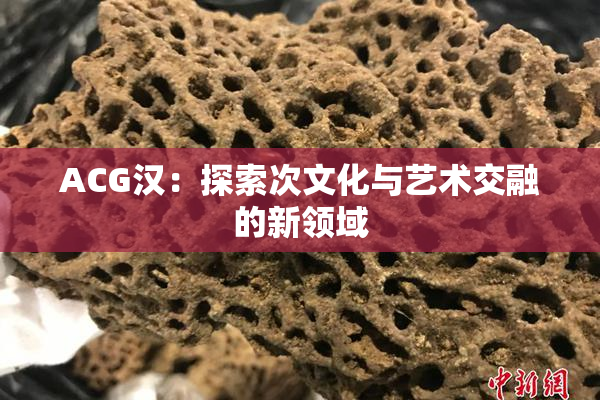 ACG汉：探索次文化与艺术交融的新领域