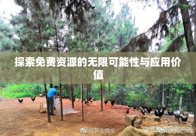 探索免费资源的无限可能性与应用价值