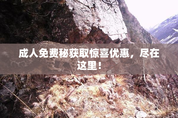 成人免费秘获取惊喜优惠，尽在这里！