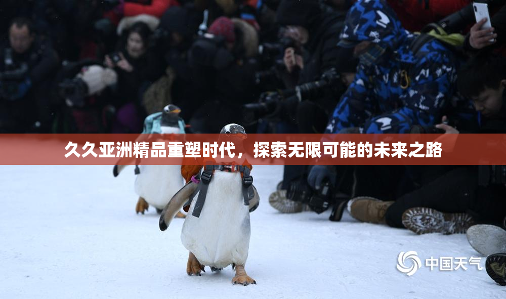 久久亚洲精品重塑时代，探索无限可能的未来之路