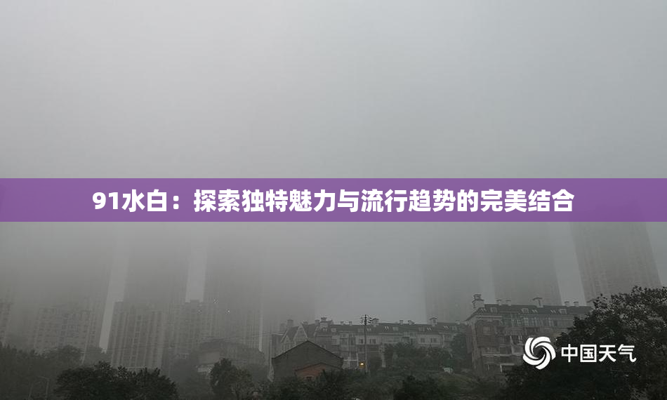 91水白：探索独特魅力与流行趋势的完美结合