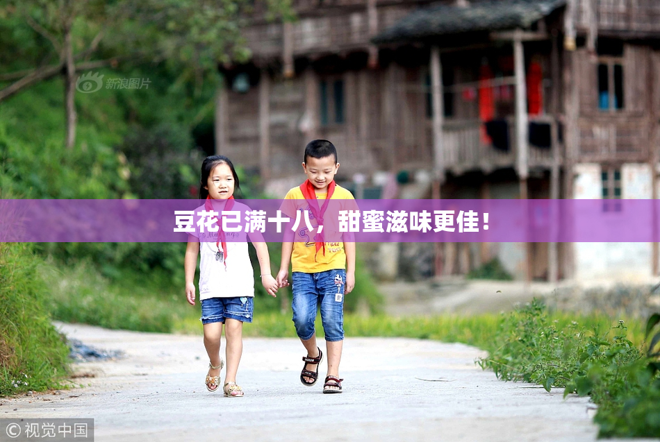 豆花已满十八，甜蜜滋味更佳！